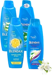 ŞAMPUAN 500ML BLENDAX Çeşitleri