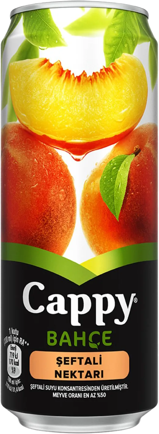 MEYVE NEKTARI 330ML CAPPY ÇEŞİTLERİ