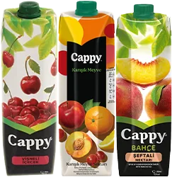 MEYVE NEKTARI 1L CAPPY ÇEŞİTLERİ