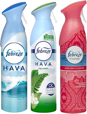 ORTAM KOKUSU 185ML FEBREZE TNK SPREY