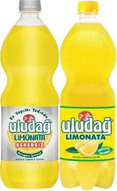 MEYVELİ İÇECEK 1L ULUDAĞ ÇEŞİTLERİ