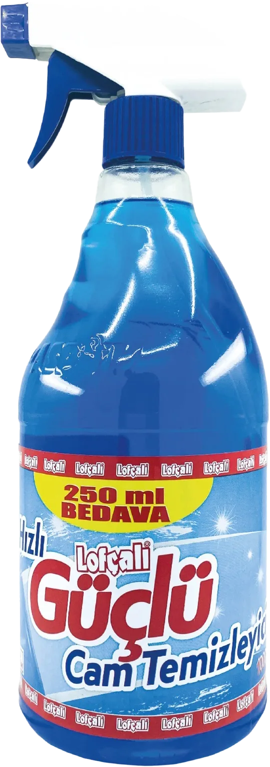 CAMSİL 1L SPREY LOFÇALI