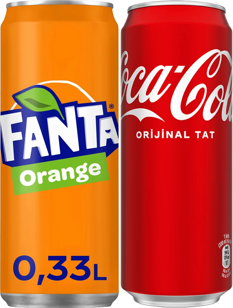 KUTU 330ML COCA COLA ÇEŞİTLERİ