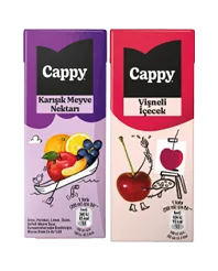 MEYVE NEKTARI 200ML CAPPY ÇEŞİTLERİ