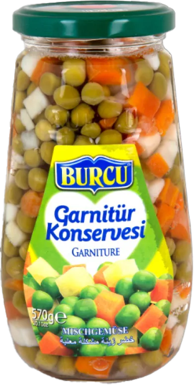 GARNİTÜR 570G BURCU CAM