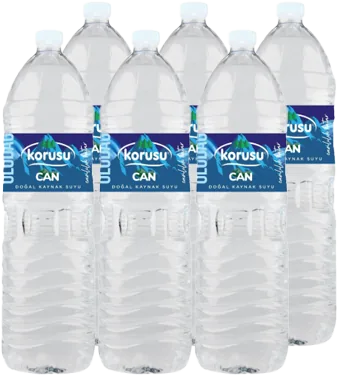 PET SU 1.5L KORUSU 6LI KOLİ