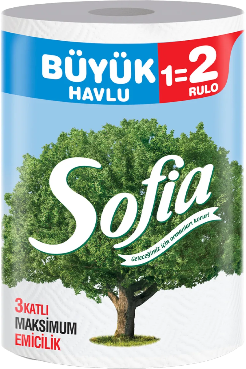 DEV HAVLU 1=3 SOFİA
