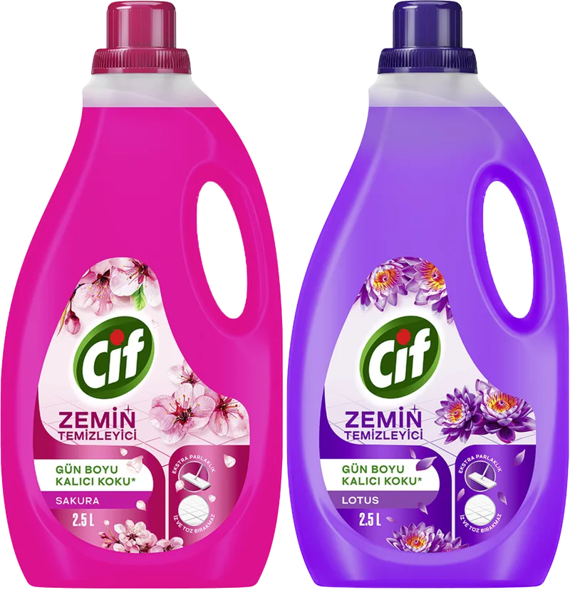 YÜZEY SIVI 2.5L CİF ZEMİN ÇEŞİTLERİ