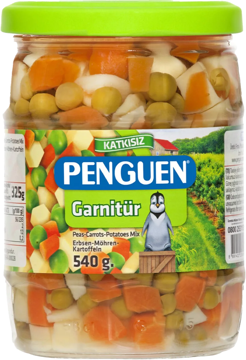 GARNİTÜR 580ML PENGUEN CAM