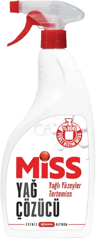 LEKE ÇIKARICI SPREY 750L MİSS