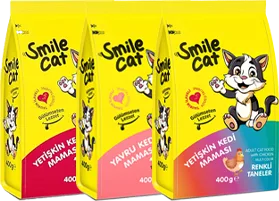 KONSERVE YAVRU KEDİ MAMASI 400G SMİLE