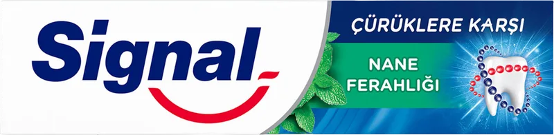 DİŞ MACUNU KLASİK 100ML SİGNAL ÇÜRÜK