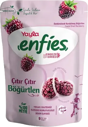 KURUTULMUŞ MEYVE ENFES 15G YAYLA BÖGÜRTLEN TÜM TANE