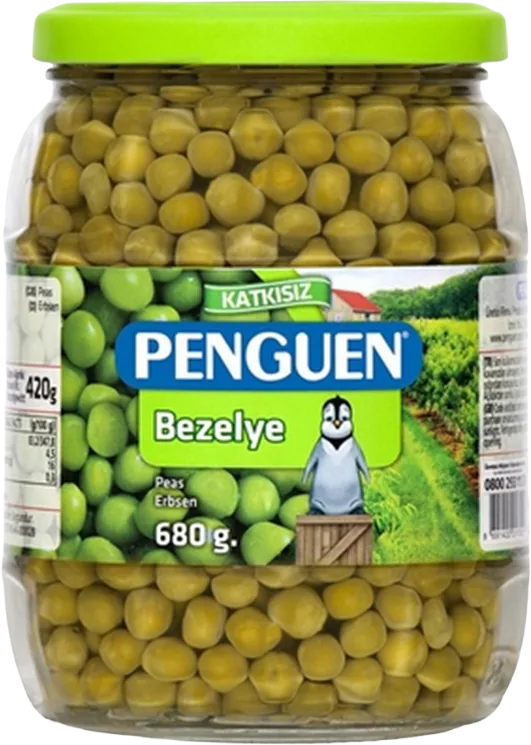 BEZELYE 720ML PENGUEN CAM